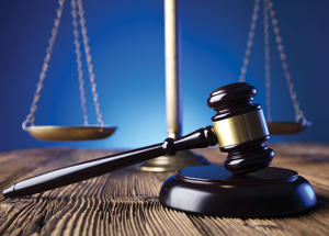 brill lawyer florida irma