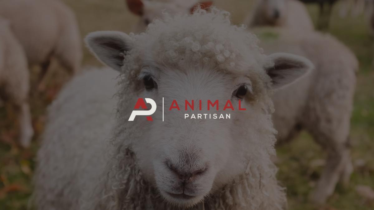 Animal Partisan Obtains Records Revealing FBI Interest in Using Weapons of Mass Destruction Laws Against Animal Rights Activists 1 Animal Partisan