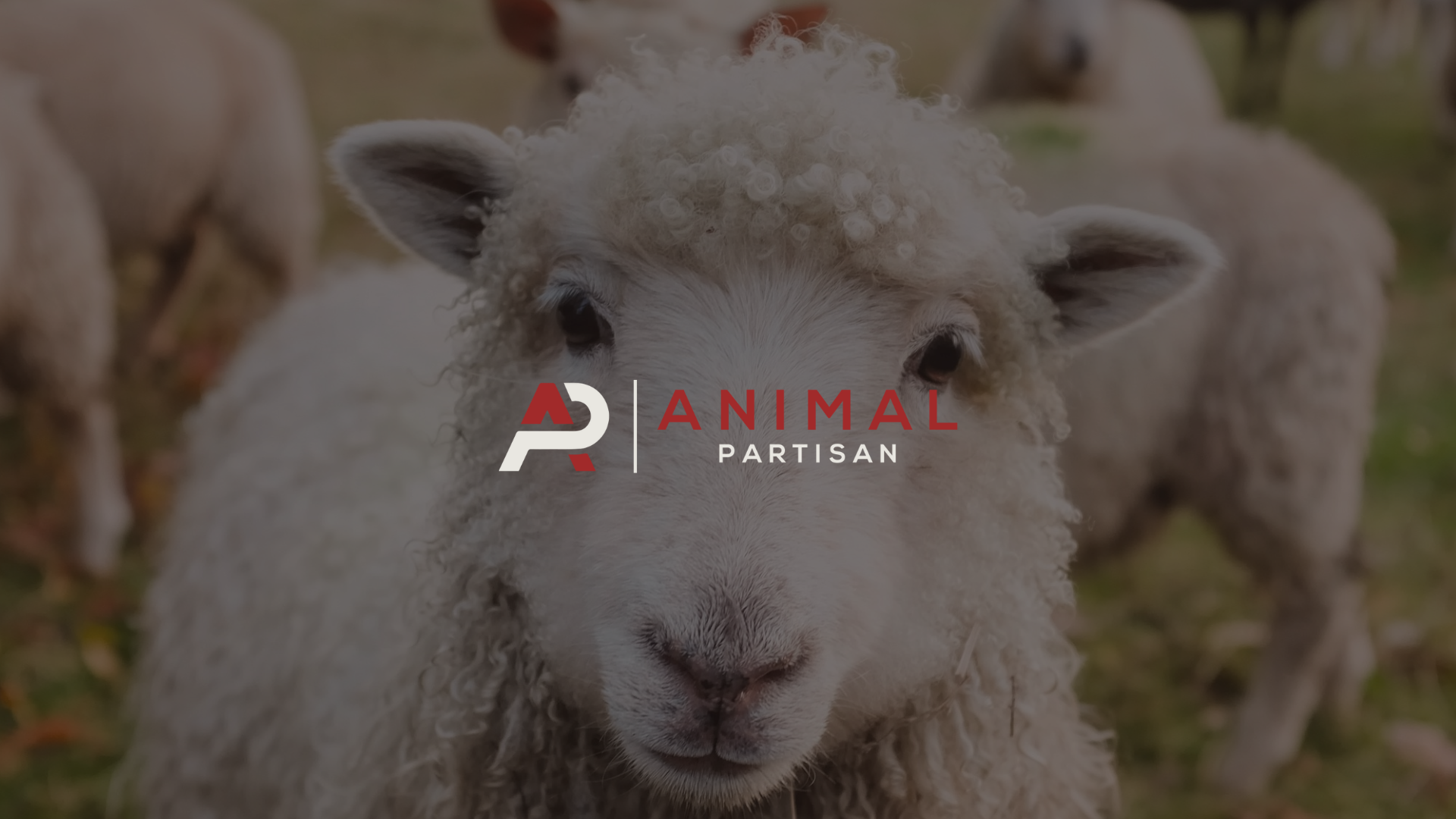 Animal Partisan